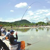 韩国进口钓鱼竿超轻超硬5.4米6.3 7.2 8米碳素短节手竿28调溪流竿