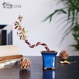 吉祥家 新中式微型盆景[黄杨]创意盆栽客厅书房净化空气独杆植物