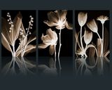 透明花素材欧美式现代黑白郁金香三联无框画芯装饰画心高清图片库