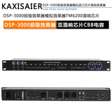 DSP-3000模拟混响效果器双混响芯片KTV会议室舞台演出前级效果器