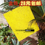 25*30cm环保高效双面强力蔬菜大棚粘虫板果园诱虫黄板黄色杀虫板