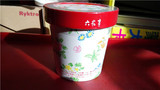 日本直送 北海道 六花亭 草莓夹心白巧克力 100G盒
