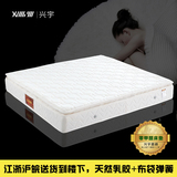 进口乳胶床垫 九区独立弹簧床垫 双人1.8米席梦思床垫包邮 可折叠