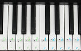 钢琴 电子琴贴纸 五线谱简谱 音符音标贴 88键61键54键通用
