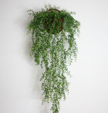 仿真绿植墙 挂墙仿真绿植 塑料藤蔓绿植装饰 仿真挂墙植物