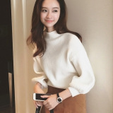韩国代购2016秋冬新品毛衣针织衫修身半高领上衣打底衫修身显瘦女