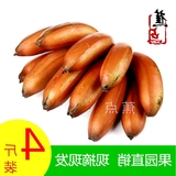 园直销 玫瑰蕉【蕉点+周年庆】新鲜水果土楼红皮香蕉 4斤包邮果