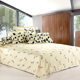 纯棉布料双人宿舍学生寝室1.5米1.8/2.0m床夏季简约床单单件 棉布