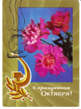 苏联实寄邮资片1971年-祝贺十月革命节！ 鲜花 镰刀锤子橄榄枝