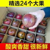 百香果 包邮 新鲜24个大果 当季生鲜热带水果西番莲鸡蛋果 3.5斤