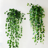 壁挂仿真植物藤条 假万年青绿萝 绿植挂壁墙饰空调下水管道装饰