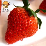 小鲜女日本进口品种章姬红颜新鲜牛奶油草莓水果2盒装顺丰包邮