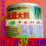 寿光蔬菜种子 日本进口 元藏元蔵大葱种子 耐热 耐寒 抗病 约90克