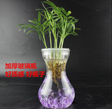 水培花瓶玻璃 绿萝瓶 透明玻璃风信子花瓶 小 水养种植花器插花瓶