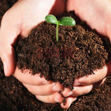盆栽肥料花卉植物有机营养土600毫升养花土 种菜营养土 花泥