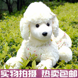 包邮热卖可爱贵妇犬泰迪犬毛绒玩具布偶娃娃纯白色贵宾犬公仔狗狗