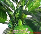 仿真植物假花盆栽塑料花室内办公室装饰花滴水观音万年青绿色植物