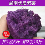 越南小紫心薯番薯生紫薯有机紫薯地瓜农家自种新鲜黑薯5斤装包邮