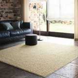 时尚超柔纯色地毯客厅茶几地毯卧室床边毯长方形简约现代地毯定制