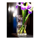 更低价格 IKEA宜家家居正品代购 维森 花瓶 透明玻璃