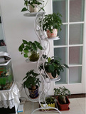 铁艺花架 客厅室内阳台 多层落地式花几绿萝吊兰盆景架植物架包邮