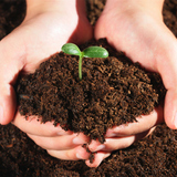 花卉专用营养土壤种菜土种花土升级配方花卉基质肥料机肥园艺用品