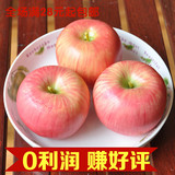 超逼真加重仿真苹果 红蛇果 +包装袋 红富士模型批发水果蔬菜苹果