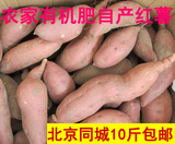 小香薯 新鲜红薯 黄心地瓜 番薯 山芋 紫薯 北京同城10斤包邮