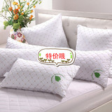 枕芯 双人枕 单人枕靠垫芯蚕丝枕芯枕头保健枕床上用品特价