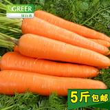 绿行者新鲜小胡萝卜五斤装农产品蔬菜绿色食品净菜批发黄心包邮