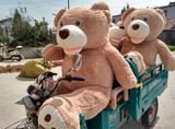 美国大熊超大号毛绒玩具巨型泰迪熊公仔抱抱熊生日礼物送女友
