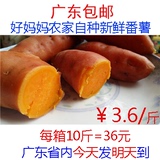 蕃薯 3.6/斤 农家自种新鲜生番薯批发 包邮 甘薯地瓜甜薯红苕山芋