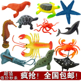 大号海底生物塑胶仿真海洋动物模型 仿动植物场景玩具 12件包邮