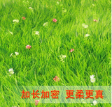 人造仿真草坪地上植物墙铺塑料草皮绿草装饰绿色地毯幼儿园带花草