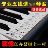 悦美专业透明钢琴键贴纸54键61键88键电子琴键盘键贴五线谱简谱