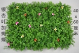 仿真草坪人造草皮塑料假草坪装饰背景植物墙壁米兰草坪批发包邮