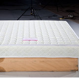 进口乳胶床垫强力透气护脊弹簧椰棕垫定做软硬两用席梦思高档床垫