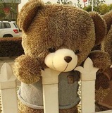 大号毛绒玩具熊泰迪熊猫1.6公仔布娃娃1.8米生日礼物女抱抱熊大熊