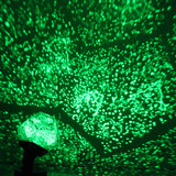 仪机浪漫LED星星灯创意安睡小夜灯大人的科学DIY四季星空达人投影