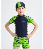 2015新款男童 儿童分体泳衣平角防晒 中大童温泉泳装鳄鱼绿色包邮