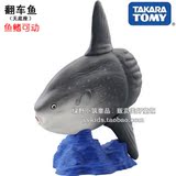 日本Tomy Takara正版散货【海洋水族馆可动动物模型】翻车鱼 绝版
