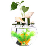 湿客厅办公室创意桌面鱼缸鱼缸水族箱玻璃鱼缸造景迷你小型生态加