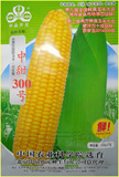 中甜300号甜玉米种子 最新品种 超甜水果玉米 渣少 大奖品种 推荐