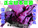 2015山里新鲜紫薯日本紫薯农家自产全紫番薯地瓜 绿色有机5斤装