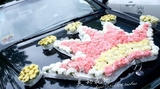 上海新款花车婚车装饰车头花彩车套装装饰鲜花布置市区上门服务
