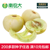 香瓜种子甜瓜白沙蜜蔬菜种子四季包邮阳台秋季盆栽冬季水果家庭