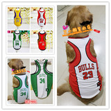 美国篮球队球服宠物服装薄春夏装宠物背心金毛萨摩哈士奇大狗衣服