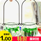 悬挂式花盆水培容器绿萝吊兰透明玻璃花瓶 小南瓜瓶插花器送铁环