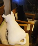 日本创意Alice背影猫大抱枕 猫咪公仔毛绒玩具靠垫玩偶生日礼物女