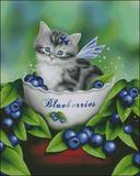 十字绣HAE蓝莓猫图纸电子版 源文件XSD/PDF   发电子邮箱